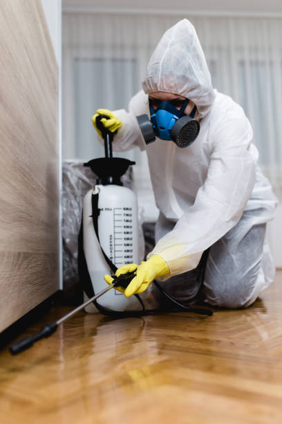 Indoor Pest Control in Carteret, NJ